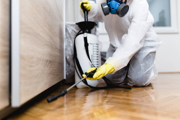 Best Local Pest Control Services  in South Browning, MT