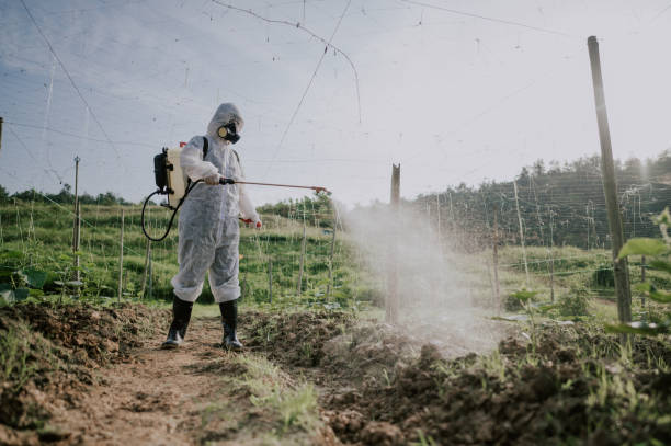 Best Affordable Pest Control Services  in South Browning, MT