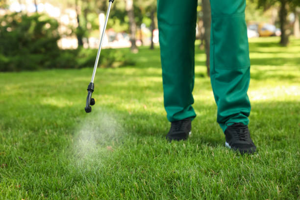 Trusted South Browning, MT Pest Control Experts