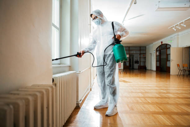 Best Rat Extermination Near Me  in South Browning, MT