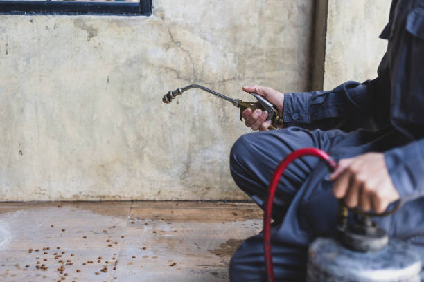 Best Pest Removal Services  in South Browning, MT