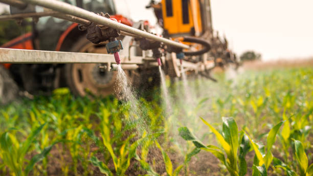 Best Pest Inspection Near Me  in South Browning, MT